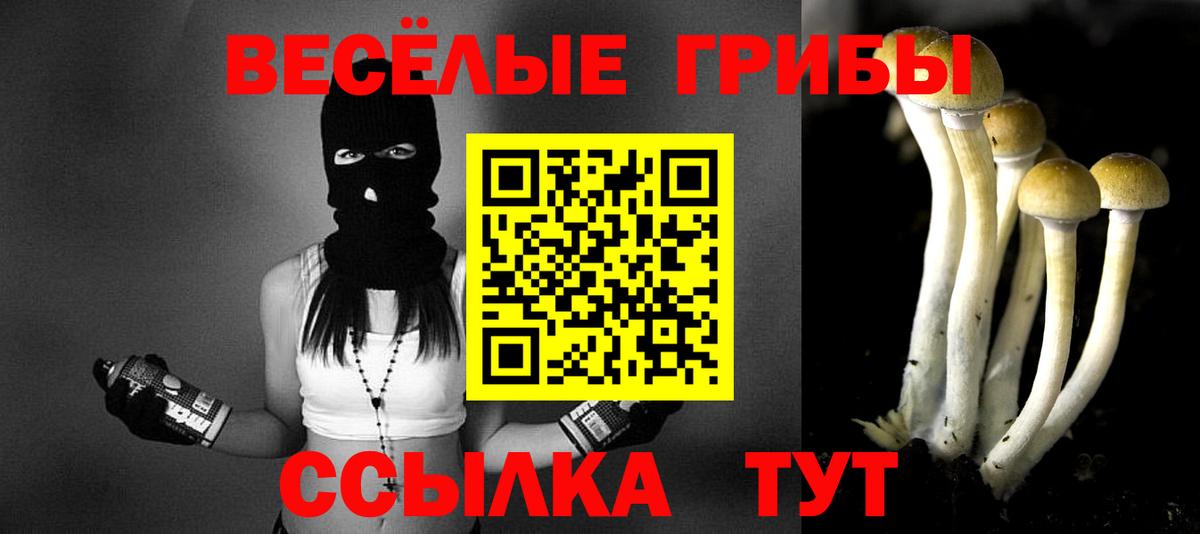 Наро-Фоминск  Псилоцибиновые грибы мухоморы  Вход с VPN 